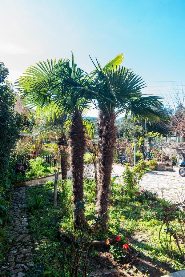 Appartement Marina's In Village